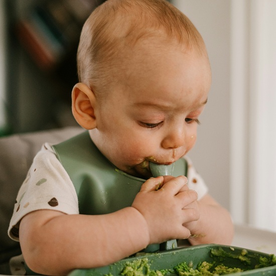 Research on the infant nutrition segment in pharmacy retail: CAWI survey of 100 pharmacists